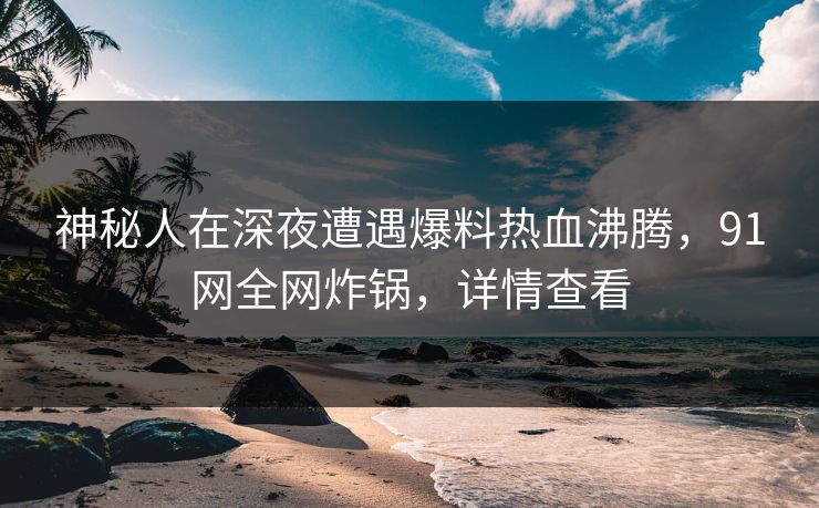 神秘人在深夜遭遇爆料热血沸腾，91网全网炸锅，详情查看