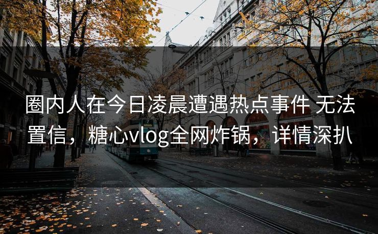 圈内人在今日凌晨遭遇热点事件 无法置信，糖心vlog全网炸锅，详情深扒